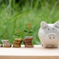 The Pros and Cons of Early Withdrawal of Savings for Private Education