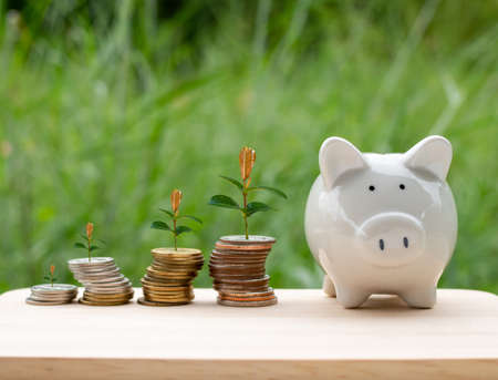 The Pros and Cons of Early Withdrawal of Savings for Private Education