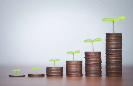 Buy-to-Let in the UK: Regulations, Prospects, and Practical Advice