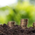 Ethical and Green Investing through Stocks and Shares ISAs: A British Perspective