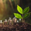 Ethical and Green Investing Through Junior ISAs: Teaching Sustainability from an Early Age